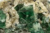 Fluorescent Green Fluorite Cluster - Diana Maria Mine, England #319141-1